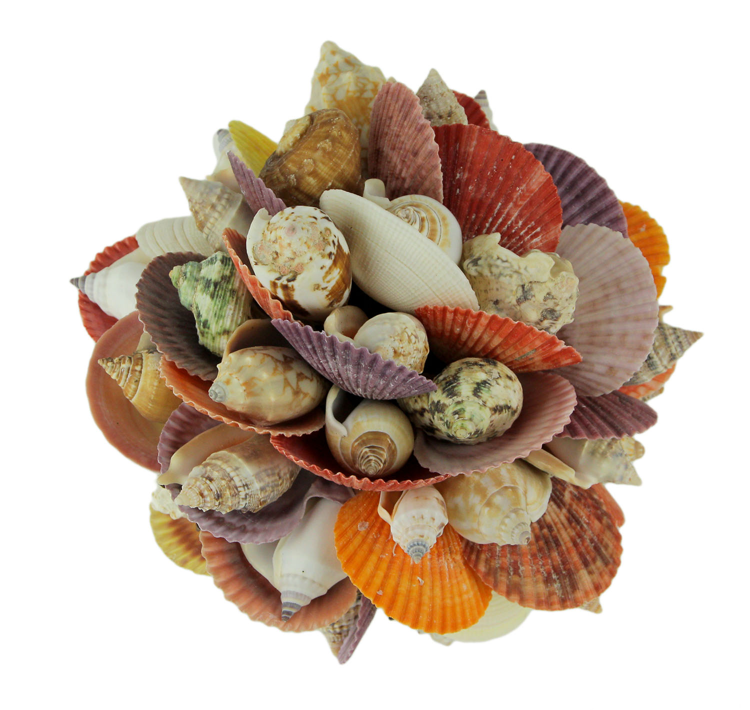 Figurine Boule Décorative Coquillages Mélangés 7.5 Pouces
