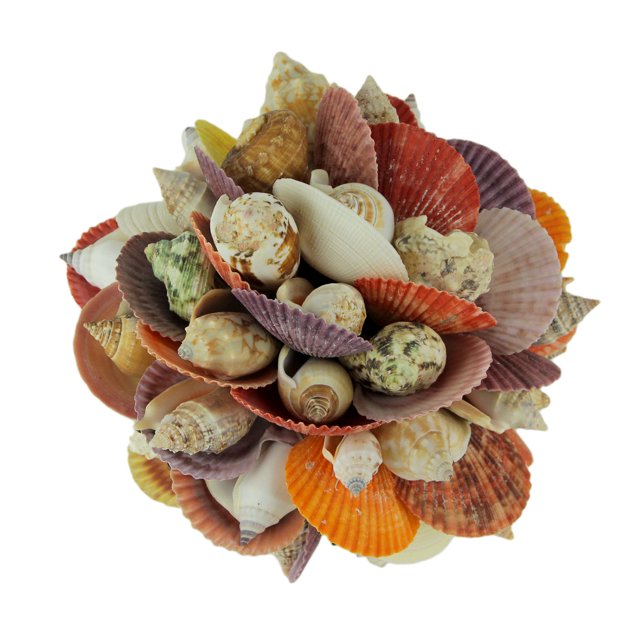 Figurine Boule Décorative Coquillages Mélangés 7.5 Pouces