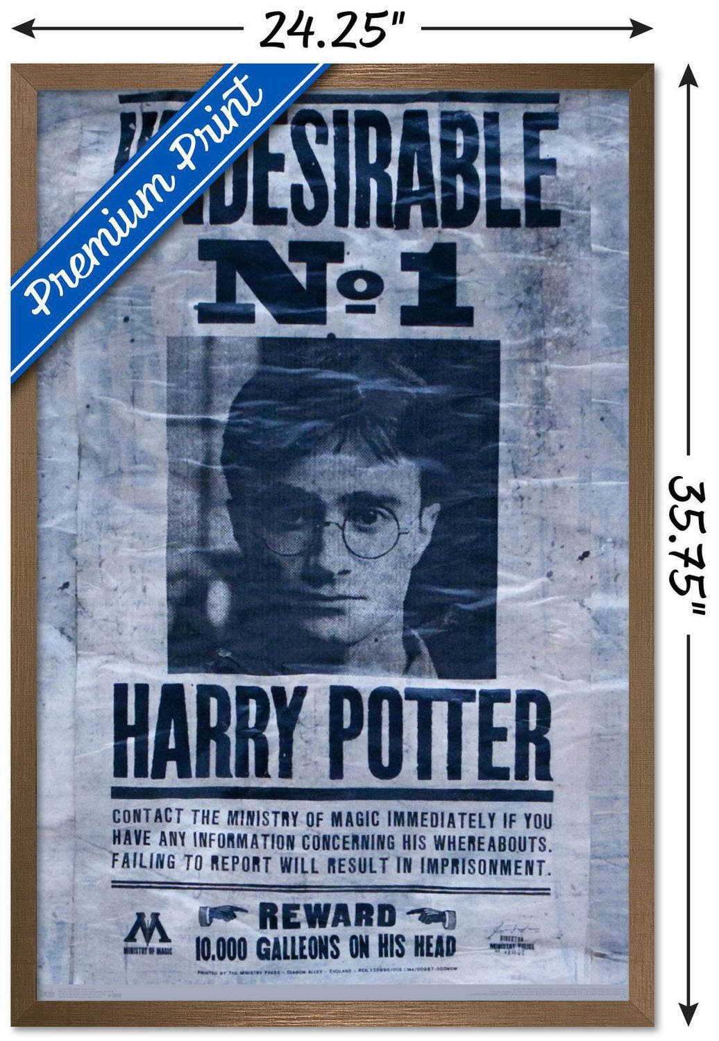 The Wizarding World: Harry Potter - Undesirable Wall Poster