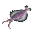 thumbnail image 1 of Prehistoric Sea Creatures Figurine Marrella Animal Figures Educational Ancient Model For Cake Topper School Project Toy Funny Curiosity Toy, 1 of 4