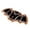 C, variant on Halloween Bat Bathroom Carpet - Decorative Bat Shaped Mat Gothic Area Rug for Living Room Bedroom Front Door - Attractive Non- Polyester Carpet
