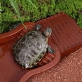 thumbnail image 4 of EGNMCR Tools&Home Improvement Water Bowl For Turtless Reptiles Water Bowl Turtless Water Bowl For Turtless Can Be Disassembled And Assembled Turtle bath basin, 4 of 7