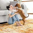 thumbnail image 3 of Area Rug Living Room Rugs - 6x9 Washable Modern Neutral Abstract Rugs Soft Low Pile No Slip Stain Resistant Rug Indoor Large Carpet for Bedroom Dining Room Nursery Room Home - Pink/Orange, 3 of 8