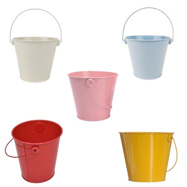 5 Pcs Seaux Métalliques Jardinières Pratiques Seaux à Plantes Mini Seaux à Fleurs