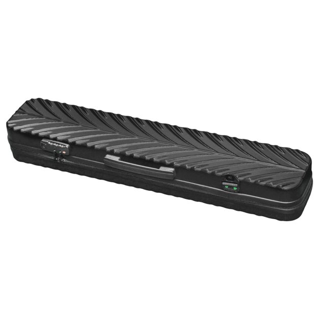 S SERENABLE Étui de Transport pour Queue de Billard Coque Rigide Cadeau pour Amateurs de Billard Noir