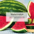 thumbnail image 3 of LITTLE TREES assainisseur d'air Vent Wrap Watermelon 4-Pack, 3 of 9