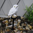 thumbnail image 3 of Amdohai LED Garden Lights Solar Night Lights Owl Shape Solar LED, 3 of 7