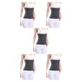 thumbnail image 1 of Thinsony Breathable And Moisture Absorbing Waist Back Support For Added Comfort Skin gray L 5Set, 1 of 6