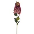 thumbnail image 1 of Vickerman FM228167 35.5 in. Cone Hydrangea Spray, Mauve - 2 per Bag, 1 of 1