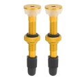 thumbnail image 2 of Bike Tubeless Valve, Easy To Carry Tubeless Valve Stem Lightweight Enlarged Base  For Mountain Bike Red,Gold,Blue, 2 of 8
