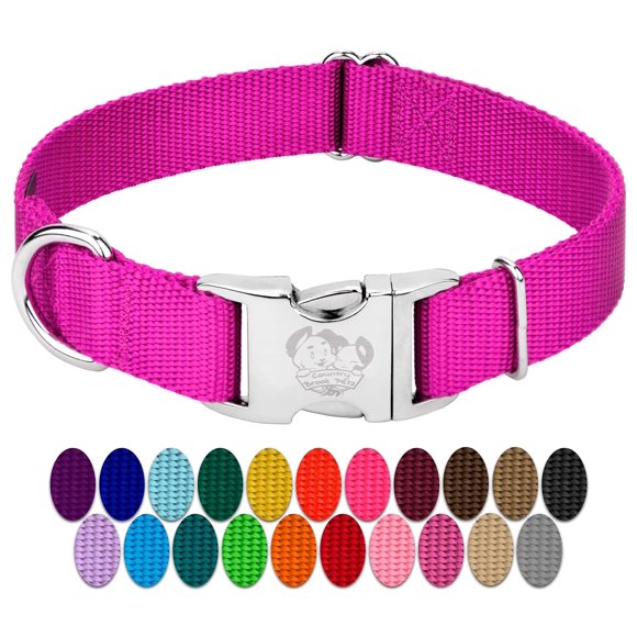 Country Brook Petz Premium Nylon Dog Collar with Metal Buckle for Small Medium Large Breeds - Vibrant 30+ Color Selection (Extra Large 1 Inch Fuchsia)