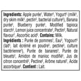 thumbnail image 2 of GERBER Apple Banana Blueberry Yogurt Purée, Real Fruit & Yogurt, For Babies, 94mL, 2 of 7
