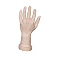 thumbnail image 4 of Bunblic Hand Model Jokes Toy Lifelike,Photo Props,Fake Hand Mannequin Hand for Cosplay Decoration Jewelry Display Party Nail Training skin, 4 of 8