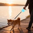 thumbnail image 4 of Laisse pour Chien Réfléchissante Robuste pour Races Moyennes et Grandes avec Poignée Rembourrée Confortable et Attache Métallique Durable, 4 of 4
