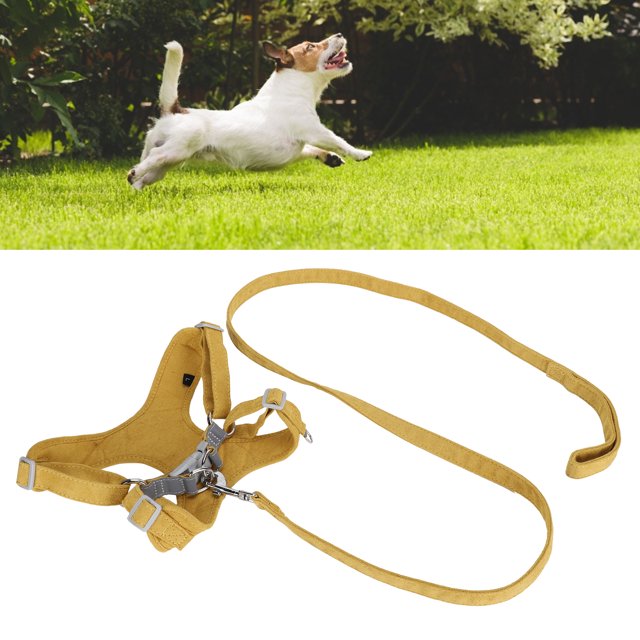 Harnais pour Chien avec Corde de Traction, Réglable à Quatre Points, Matériau en Suède, Gingembre, Sangle de Poitrine Incluse