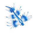 thumbnail image 1 of Realistic Sea Slug Animal Figures Model Animal Figurine Sea Animal Figurines for, 1 of 8