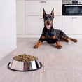 thumbnail image 3 of Pure Balance Pro+ Sensitive Skin & Coat Salmon & Brown Rice 14KG, 3 of 9