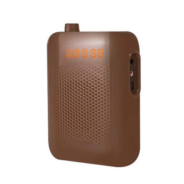Bluetooth Voice Amplifier with UHF Wireless Microphone for Professor Teacher Meeting Portable ,Loud Volume