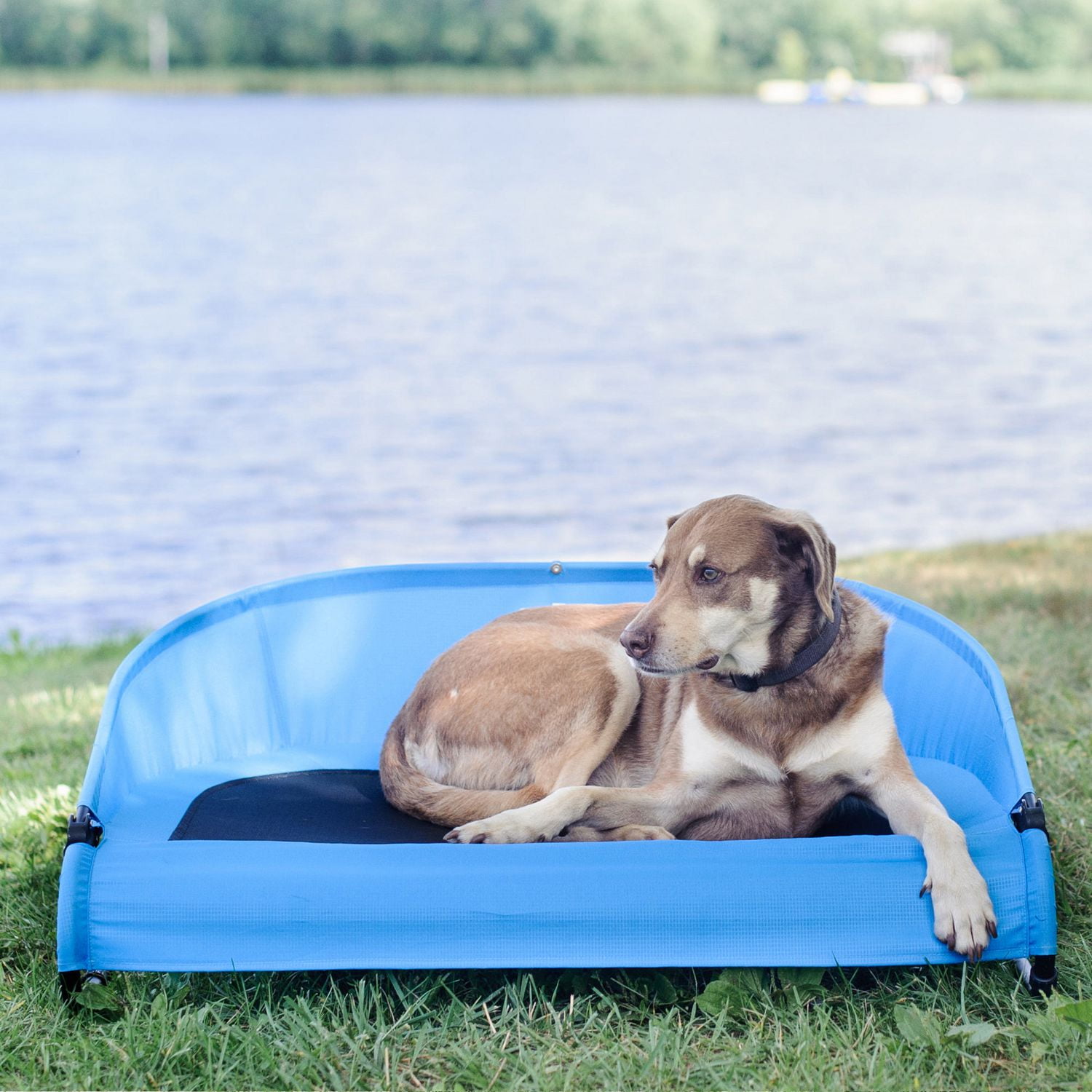 Lit pour animal domestique Cool-Air Cot de Gen7Pets, 76 cm (30 po)