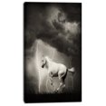 thumbnail image 2 of Cheval Blanc sous le Ciel Tonnerre - Impression Artistique sur Toile d'Animal, 2 of 3