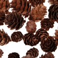 thumbnail image 3 of veasfak 50 Pieces Assorted Size Mini Decorative cone Cones for Vase Bowl Filler, 3 of 9