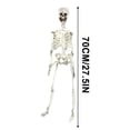 thumbnail image 2 of Halloween Skeletons Life Size,Realistic Human Skeleton Full Body,Movable Posable Joints Skeleton,Creepy Halloween Plastic Skeleton for Graveyard Decorations,Haunted House Props Indoor/Outdoor Decor, 2 of 9