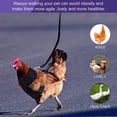 thumbnail image 5 of Chicken Leash Pet Chicken Leash Pet Leash, 5 of 5