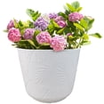 thumbnail image 4 of Mainstays 16in Playa Large White Plastic Planter, 4 of 7