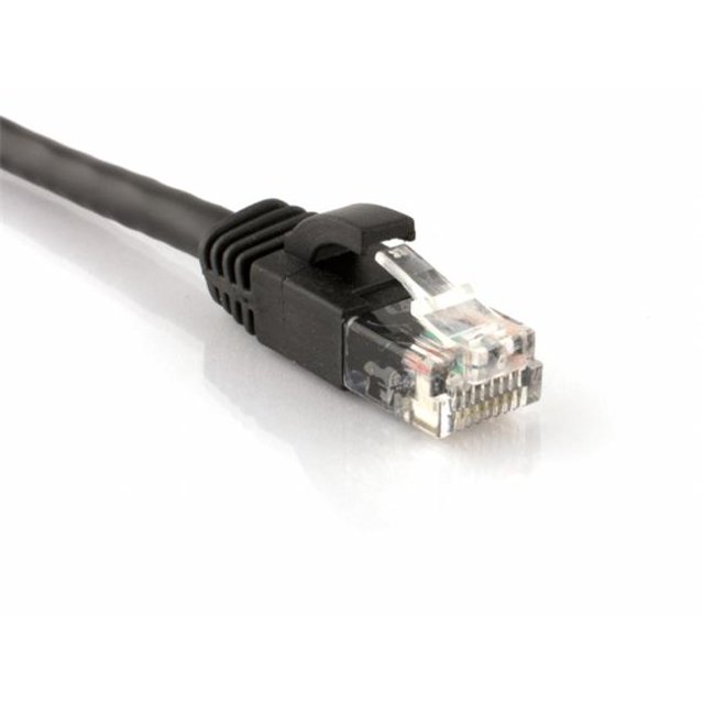 Efilliate Reseller 119 7320 CAT6 Patch Cable, 100 ft. - Black