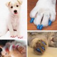 thumbnail image 4 of Flmtop 20Pcs Soft Pet Dog Cats Kitten Paw Claws Control Nail Caps Covers Pet Accessories Orange, 4 of 9