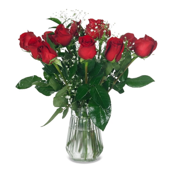 Fleurs Fraîches - Douzaine de Roses Rouges 45 cm (17,7 Po)