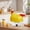 White, variant on Chicken Home Cooker Cooker Maker Electric Egg Boiler Steamer For Breakfast