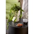 thumbnail image 2 of Bouclair Waterfall Eucalyptus in White Hourglass Pot, 2 of 10
