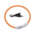 thumbnail image 1 of Coastal Pet Products Réglable Collier Lumineux pour Chien de 61cm (24") Pour la Marche Nocturne, 1 of 9