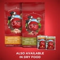thumbnail image 2 of Purina ONE SmartBlend Moulue Classique Entrée de Boeuf et Riz Brun, Nourriture Humide pour Chiens 368 g, 2 of 6