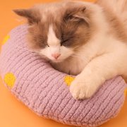 Chmadoxn Cats Pillow Pet Pillow Wear Resistants Small Pillow Half Donut Pillow Can Be Washed Washed Small Pillow Soft Warm Fluffies Pet Toys Cats pillows