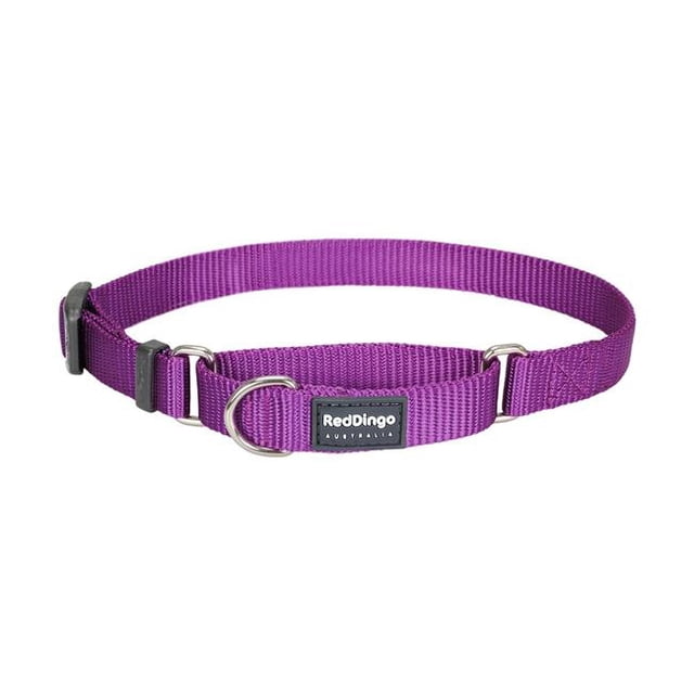 Red Dingo MC-ZZ-PU-15 Martingale Classique Violet - Petit