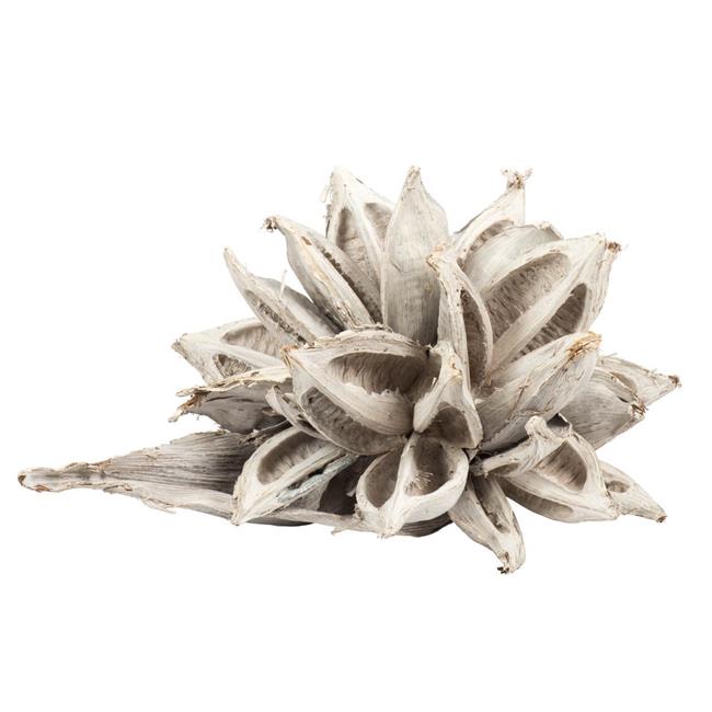 Vickerman H2STAX900 12-16 in. White Wash Star Pods - 2XL