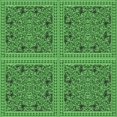 thumbnail image 1 of Ahgly Tapis d'Intérieur Lavable en Machine Carré Transitionnel Vert Néon, 7 Pieds Carré, 1 of 7