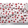 thumbnail image 2 of Soimoi Viscose Chiffon Fabric Raspberry,Strawberry & Cherry Fruits Fabric Prints by Yard 42 Inch Wide, 2 of 3