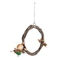 thumbnail image 2 of Hanging Swing Toy, Colorful Bird Swing Perch Bark Corn Cob  For Pet Bird L, 2 of 8