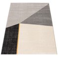 thumbnail image 4 of ECARPET Modern Area Rug for Dining Room, Living Room, Bedroom or Den Visby Black, 4 of 9