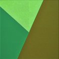 thumbnail image 1 of Ahgly Company Tapis d'Intérieur Lavable à la Machine, Carré, Transitionnel, Vert Olive, Tapis de Zone, 7 Pieds Carré, 1 of 7