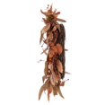 thumbnail image 2 of Vickerman FT227122 Couronne de Feuilles Rouges Crème 22 Po. - Lot de 12, 2 of 2