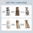 thumbnail image 4 of PawHut Grands Bols Surélevés pour Chien avec Rangement, Support de Bol Surélevé pour Chien, Noir, 4 of 10