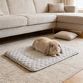 thumbnail image 4 of pstuiky Summer Cooling Pet Bed Ice Pad for Hamster Rabbit Small Animal Cage Portable Cooling Mat for Hot Weather |, 4 of 6