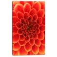 thumbnail image 2 of Motif Floral Abstrait Orange - Impression d'Art sur Toile Florale, 2 of 3