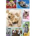 thumbnail image 4 of Keith Kimberlin - Collage de chiots et de chatons, 4 of 4