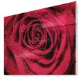 thumbnail image 1 of Design Art - Pétales de Rose Rouges avec Gouttes de Pluie, 1 of 5