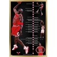 thumbnail image 1 of Michael Jordan - Timeline Wall Poster, 22.375" x 34" Framed, 1 of 4